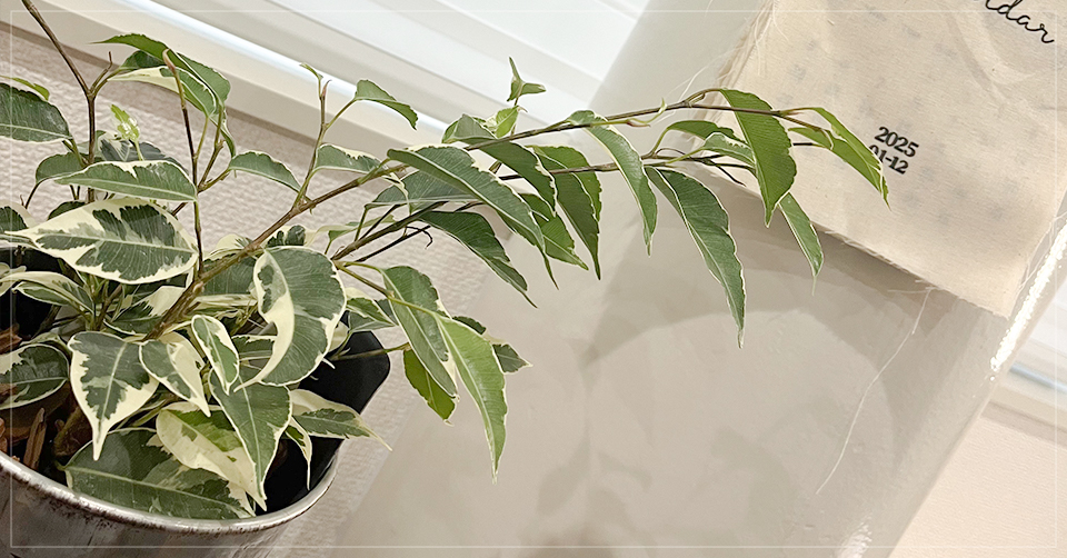 シンプルで落ち着いた韓国風の店内